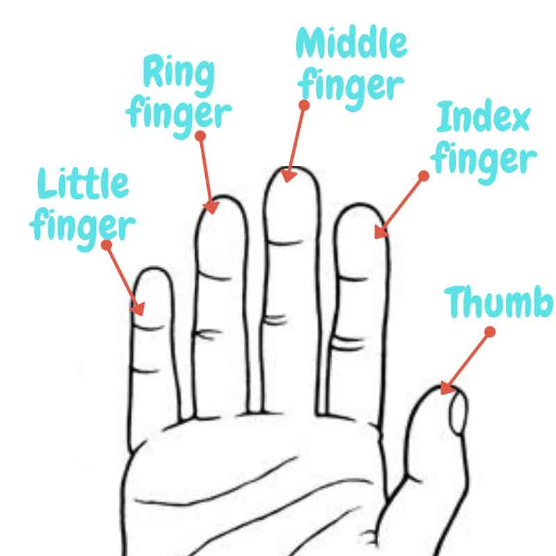 Fingers Name in English, Hindi, Tamil and Telugu