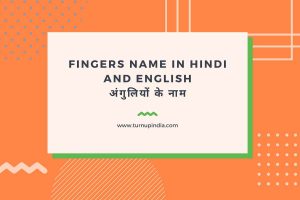 Read more about the article 5 Fingers Name in Hindi and English | अंगुलियों के नाम