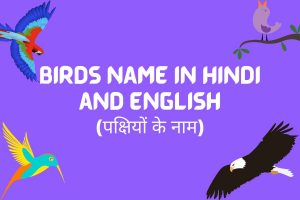Read more about the article Birds Name in Hindi and English | पक्षियों के नाम