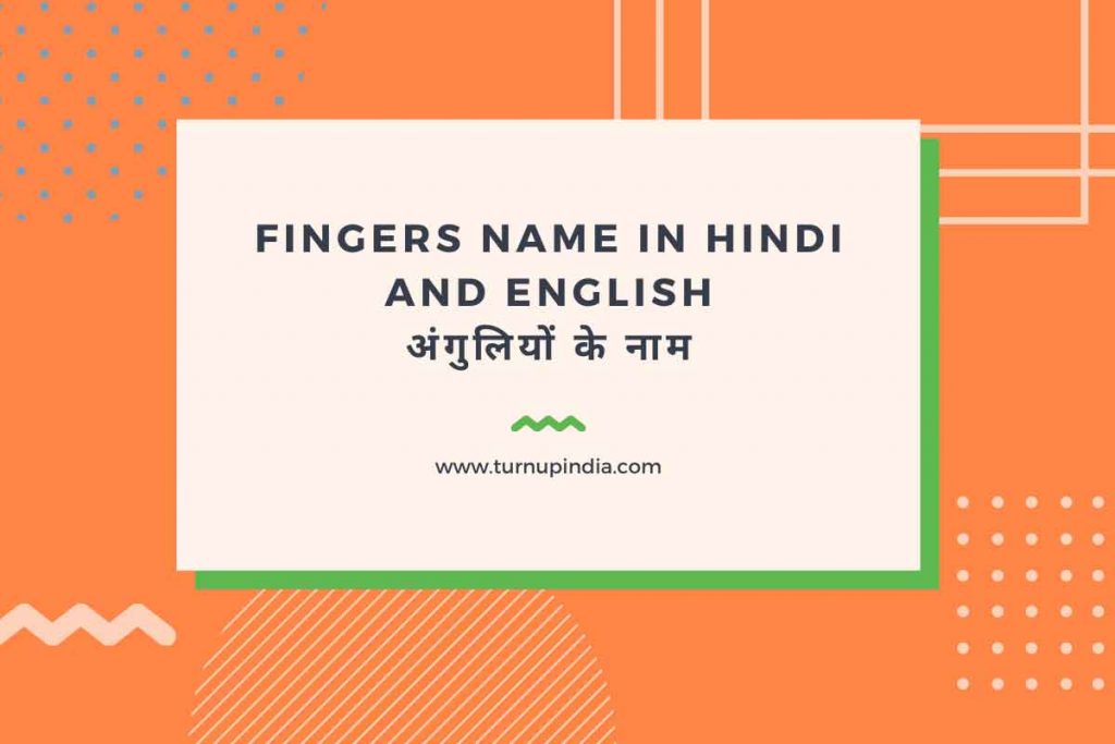 Fingers Name in Hindi 