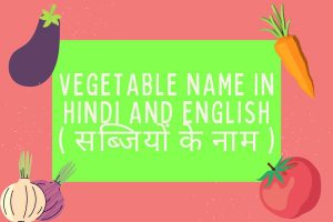 Read more about the article Vegetables Name in Hindi and English | सब्जियों के नाम