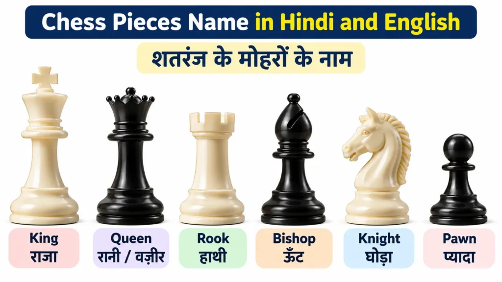 Chess Pieces in Hindi and English