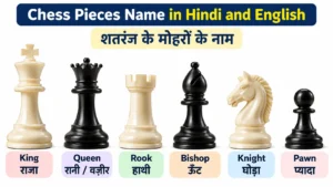 Read more about the article 6 Chess pieces name in Hindi and English | शतरंज के मोहरों के नाम