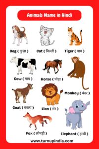 Read more about the article Animals Name in Hindi and English | जानवरों के नाम हिंदी में
