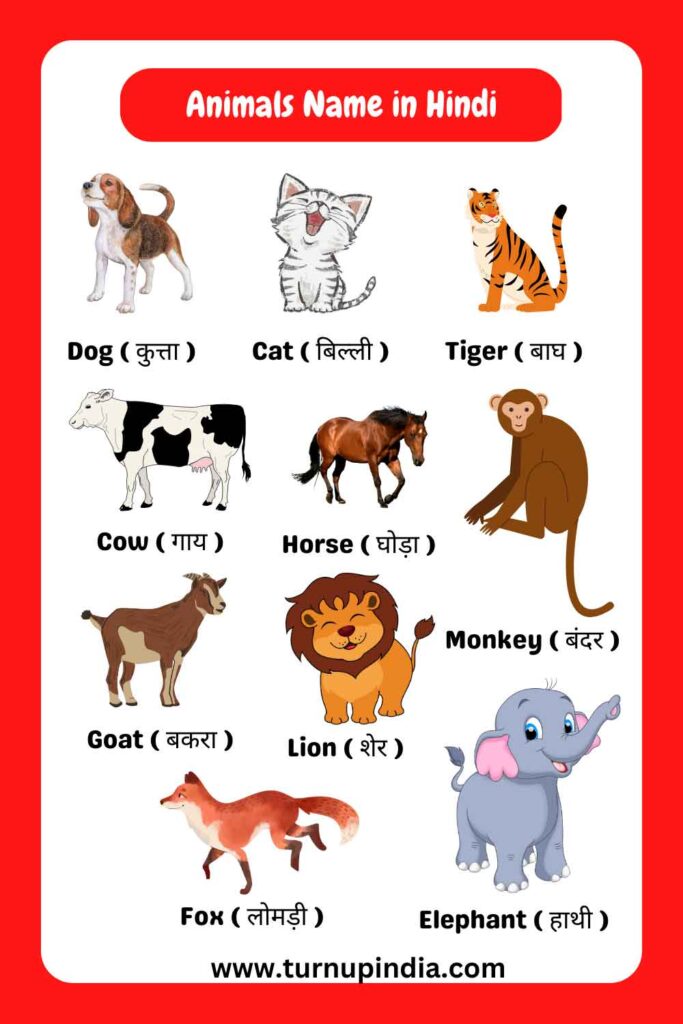 Animals name in Hindi