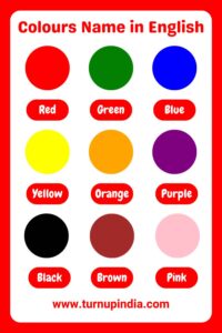 Read more about the article List of Colours Name in English