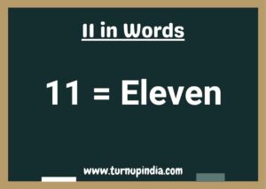 Read more about the article Write 11 in Words | 11 Spelling in English?