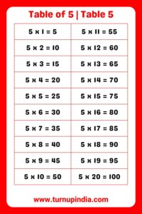 Read more about the article Table of 5 | Table 5 Multiplication till 100
