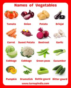 Read more about the article Names of Vegetables in English With Images